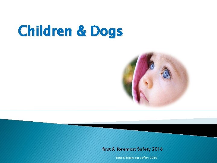 Children & Dogs first & foremost Safety 2016 