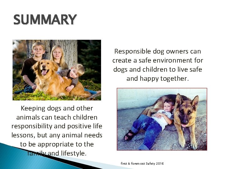 SUMMARY Responsible dog owners can create a safe environment for dogs and children to