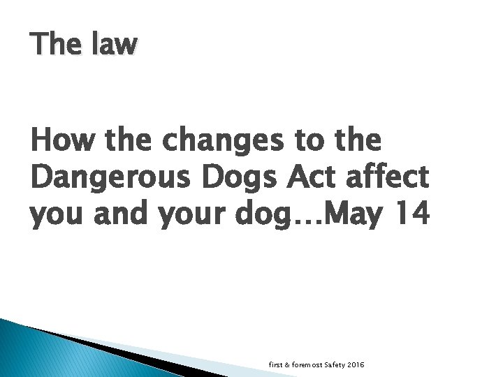 The law How the changes to the Dangerous Dogs Act affect you and your