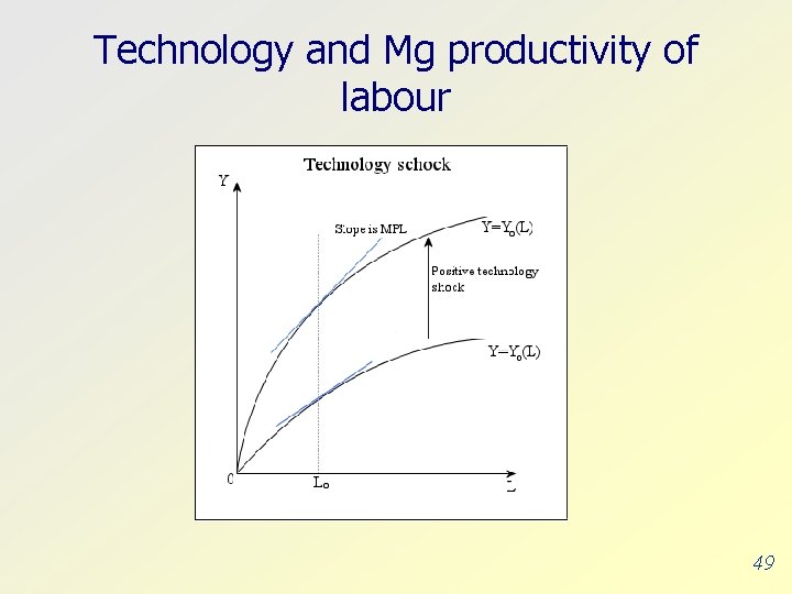 Technology and Mg productivity of labour 49 