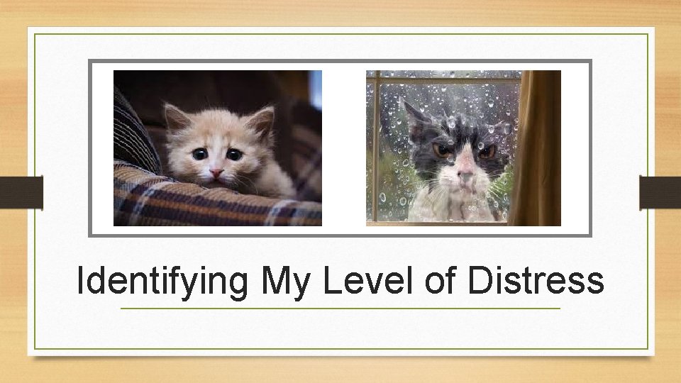 Identifying My Level of Distress 