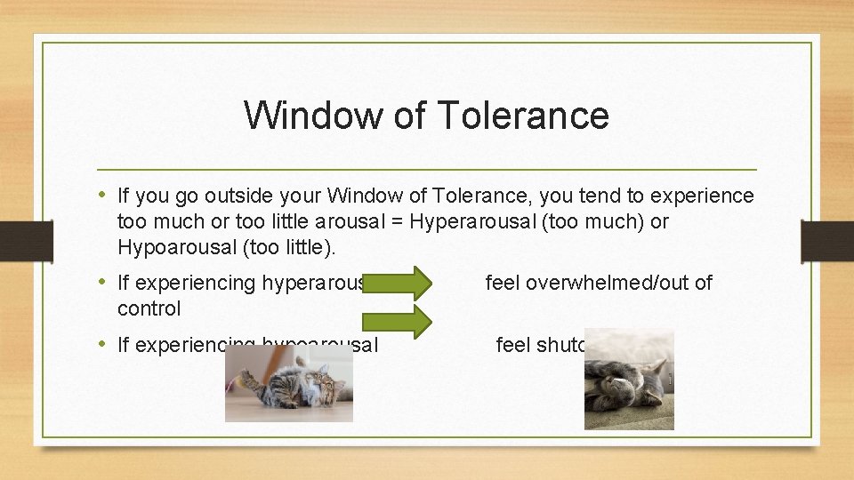 Window of Tolerance • If you go outside your Window of Tolerance, you tend