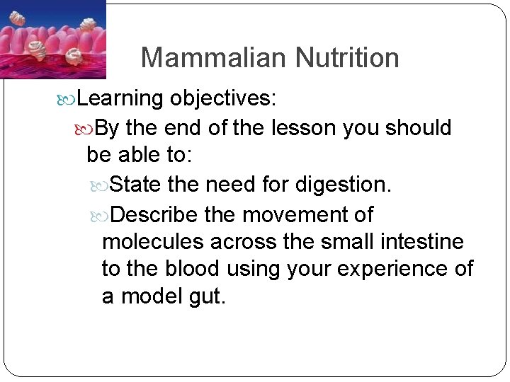 Mammalian Nutrition Learning objectives: By the end of the lesson you should be able