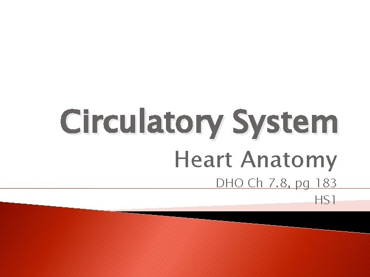 Circulatory System Heart Anatomy DHO Ch 7. 8, pg 183 HS 1 