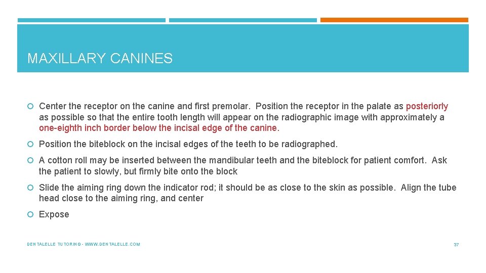 MAXILLARY CANINES Center the receptor on the canine and first premolar. Position the receptor