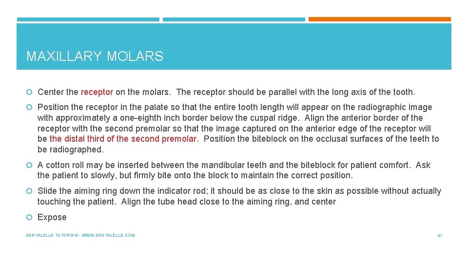 MAXILLARY MOLARS Center the receptor on the molars. The receptor should be parallel with