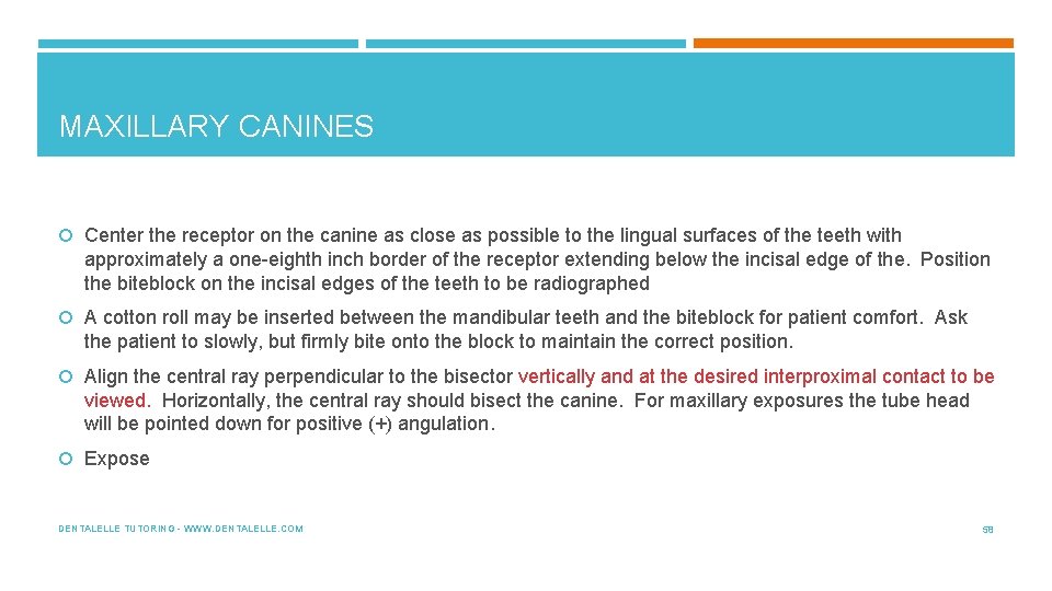 MAXILLARY CANINES Center the receptor on the canine as close as possible to the