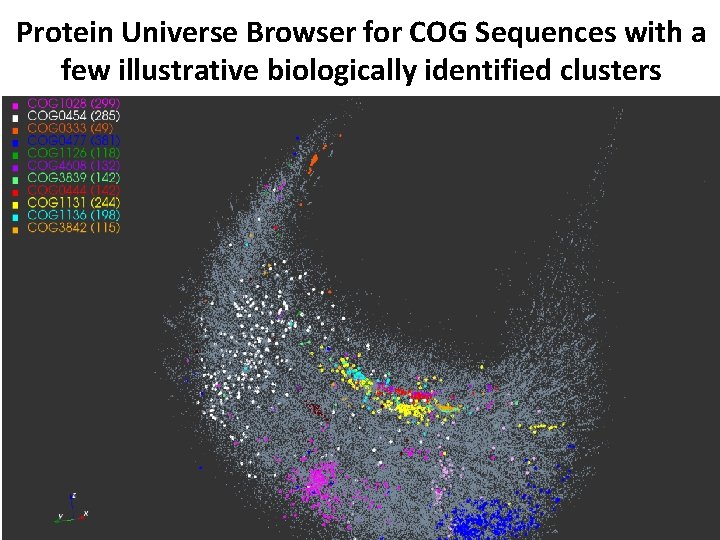 Protein Universe Browser for COG Sequences with a few illustrative biologically identified clusters 65