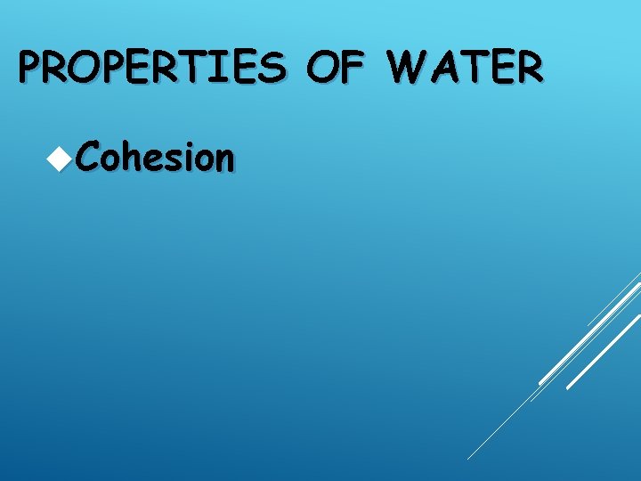 PROPERTIES OF WATER Cohesion 