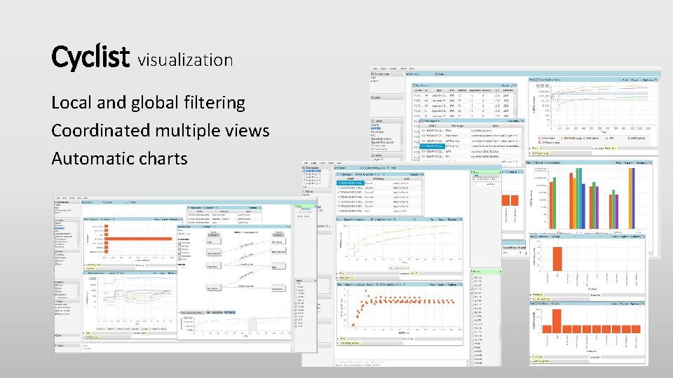 Cyclist visualization Local and global filtering Coordinated multiple views Automatic charts 