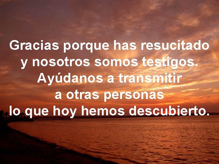 Gracias porque has resucitado y nosotros somos testigos. Ayúdanos a transmitir a otras personas