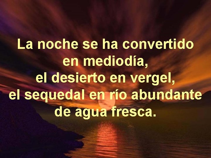 La noche se ha convertido en mediodía, el desierto en vergel, el sequedal en