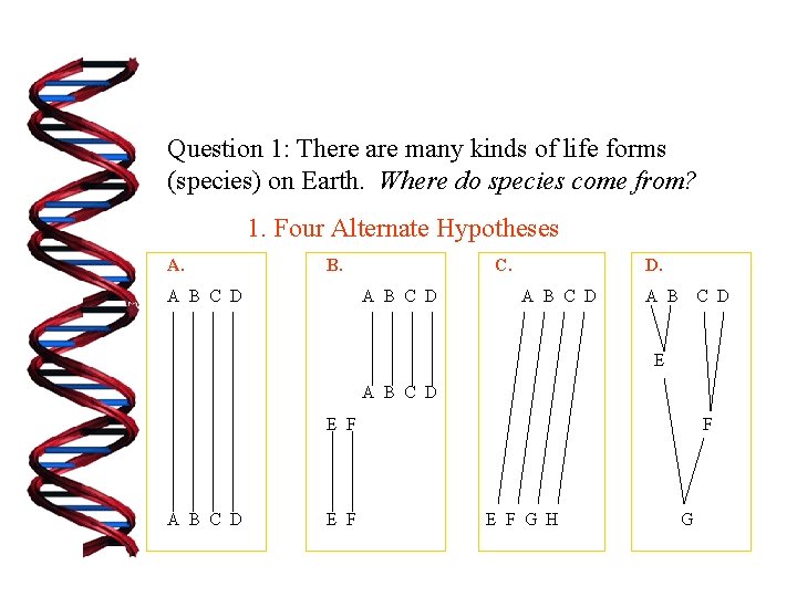 Question 1: There are many kinds of life forms (species) on Earth. Where do