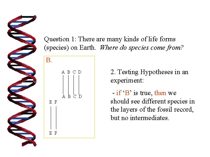 Question 1: There are many kinds of life forms (species) on Earth. Where do