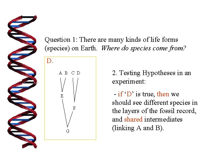 Question 1: There are many kinds of life forms (species) on Earth. Where do