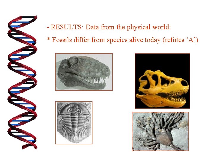 - RESULTS: Data from the physical world: * Fossils differ from species alive today