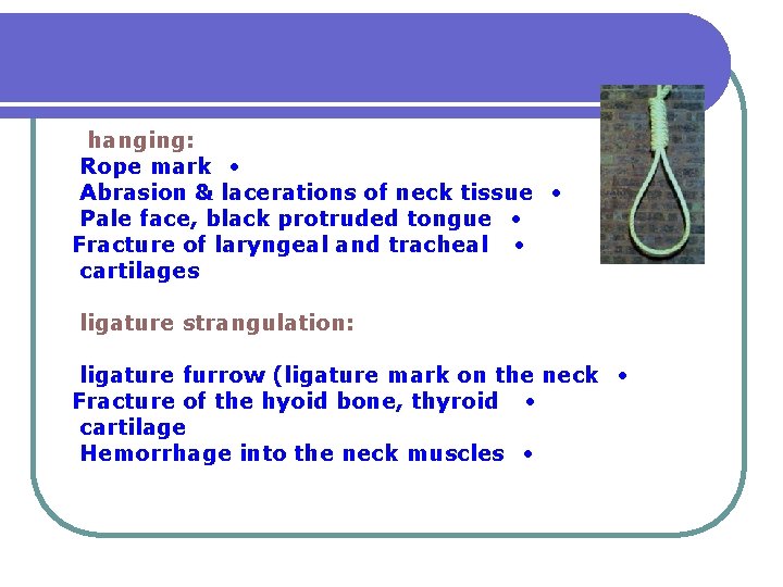 hanging: Rope mark • Abrasion & lacerations of neck tissue • Pale face, black