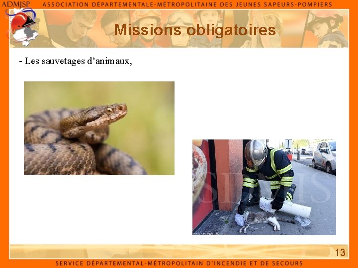 Missions obligatoires - Les sauvetages d’animaux, 13 