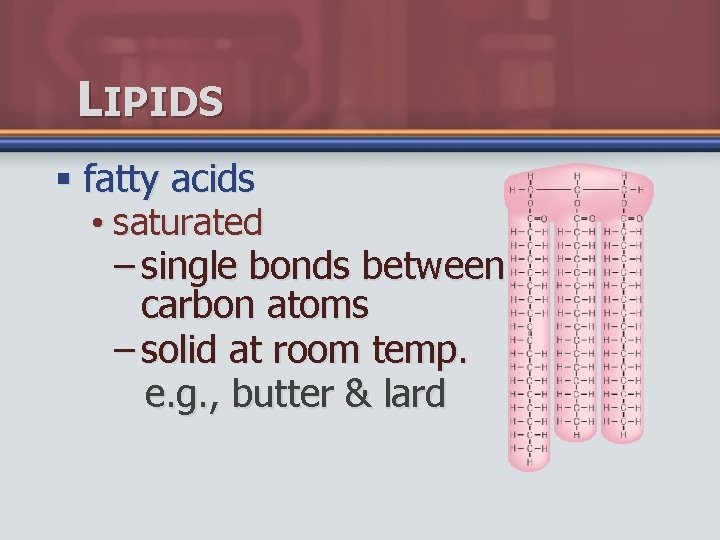 LIPIDS § fatty acids • saturated – single bonds between carbon atoms – solid