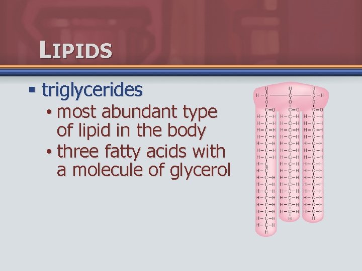 LIPIDS § triglycerides • most abundant type of lipid in the body • three