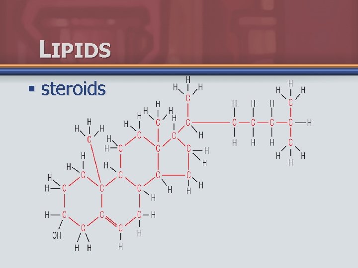 LIPIDS § steroids 