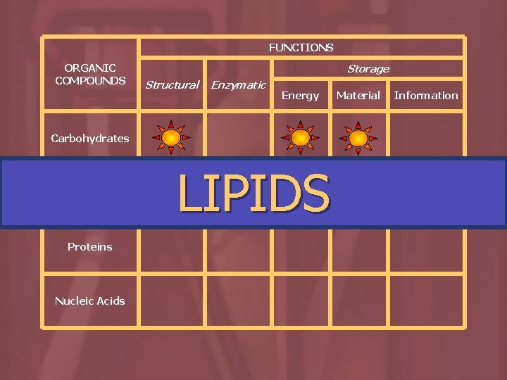 FUNCTIONS ORGANIC COMPOUNDS Storage Structural Enzymatic Energy Carbohydrates Lipids Proteins Nucleic Acids LIPIDS Material