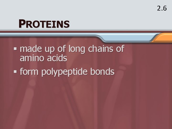 2. 6 PROTEINS § made up of long chains of amino acids § form