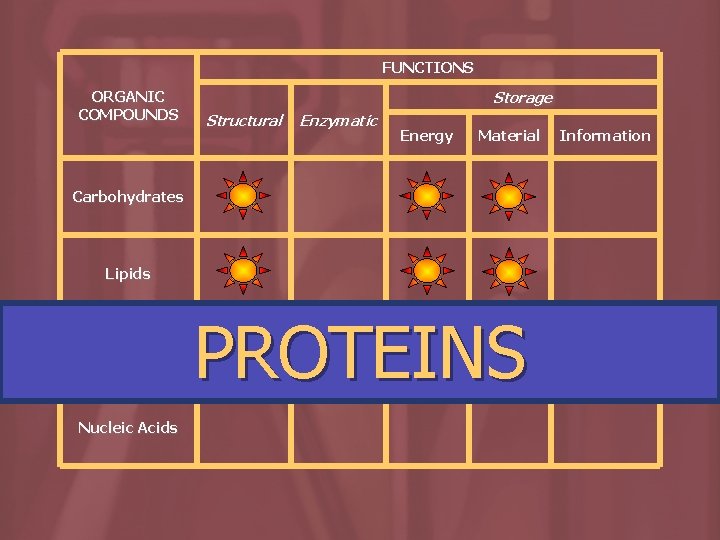 FUNCTIONS ORGANIC COMPOUNDS Storage Structural Enzymatic Energy Material Carbohydrates Lipids Proteins Nucleic Acids PROTEINS