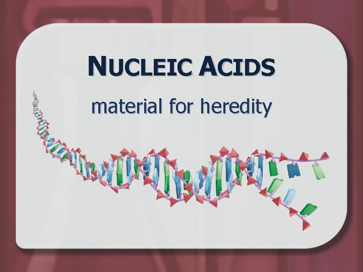 NUCLEIC ACIDS material for heredity 
