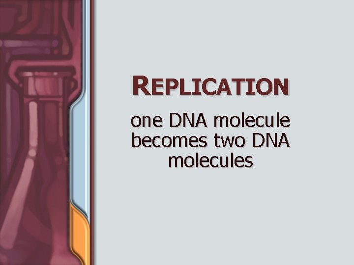 REPLICATION one DNA molecule becomes two DNA molecules 