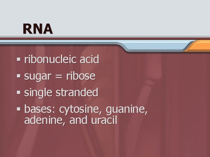 RNA § ribonucleic acid § sugar = ribose § single stranded § bases: cytosine,