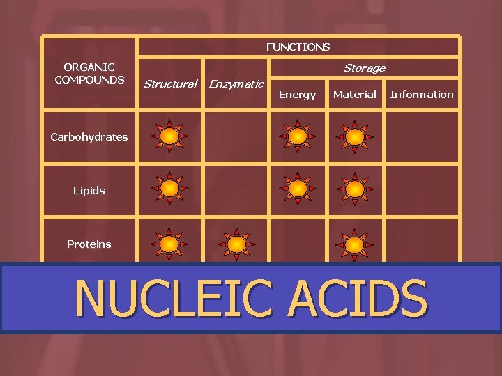 FUNCTIONS ORGANIC COMPOUNDS Storage Structural Enzymatic Energy Material Information Carbohydrates Lipids Proteins NUCLEIC ACIDS