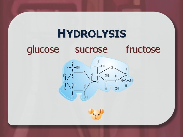 HYDROLYSIS glucose sucrose fructose 