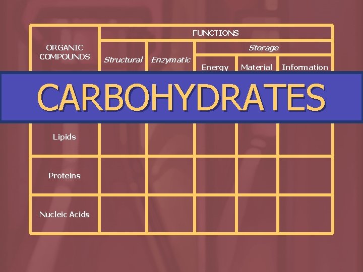 FUNCTIONS ORGANIC COMPOUNDS Storage Structural Enzymatic Energy Material Information CARBOHYDRATES Carbohydrates Lipids Proteins Nucleic