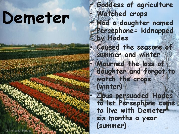 Demeter (C) Andrea M. Bentley • Goddess of agriculture • Watched crops • Had