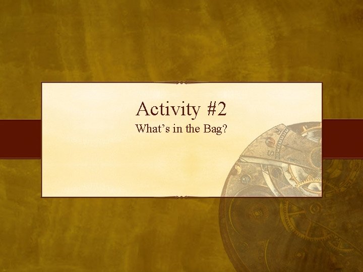 Activity #2 What’s in the Bag? 