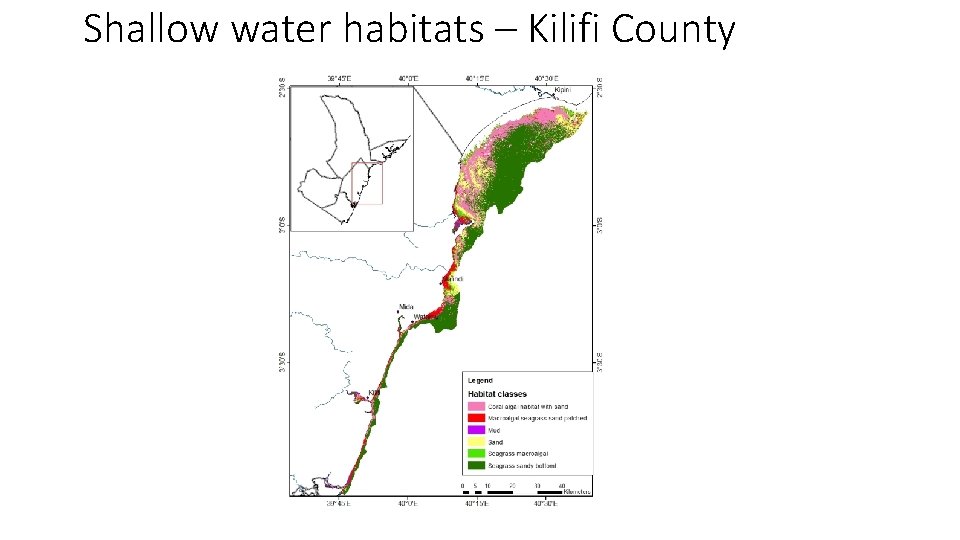Shallow water habitats – Kilifi County 
