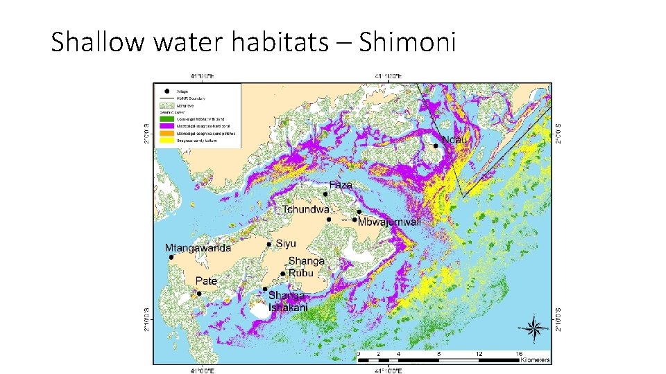 Shallow water habitats – Shimoni 