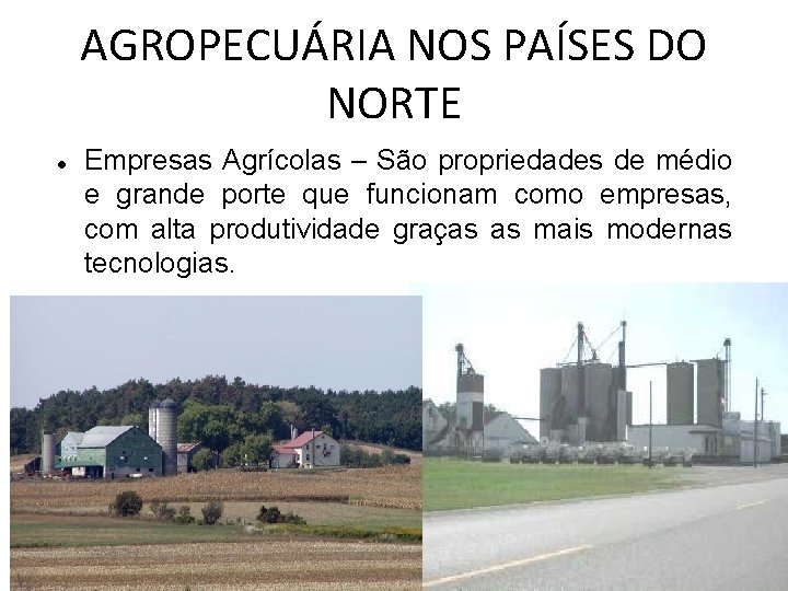 AGROPECUÁRIA NOS PAÍSES DO NORTE Empresas Agrícolas – São propriedades de médio e grande