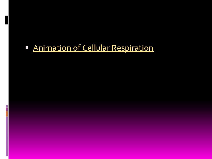  Animation of Cellular Respiration 