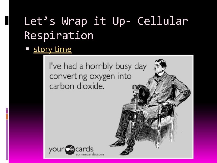 Let’s Wrap it Up- Cellular Respiration story time 