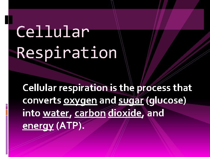 Cellular Respiration Cellular respiration is the process that converts oxygen and sugar (glucose) into