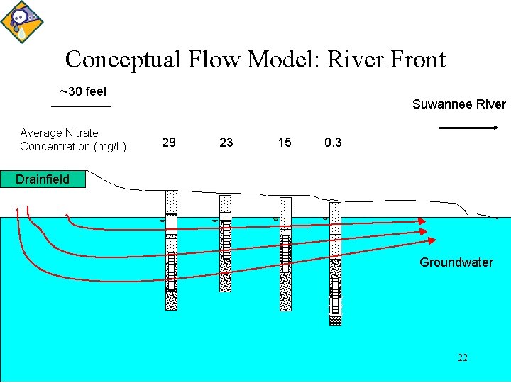 Conceptual Flow Model: River Front ~30 feet Suwannee River Average Nitrate Concentration (mg/L) 29