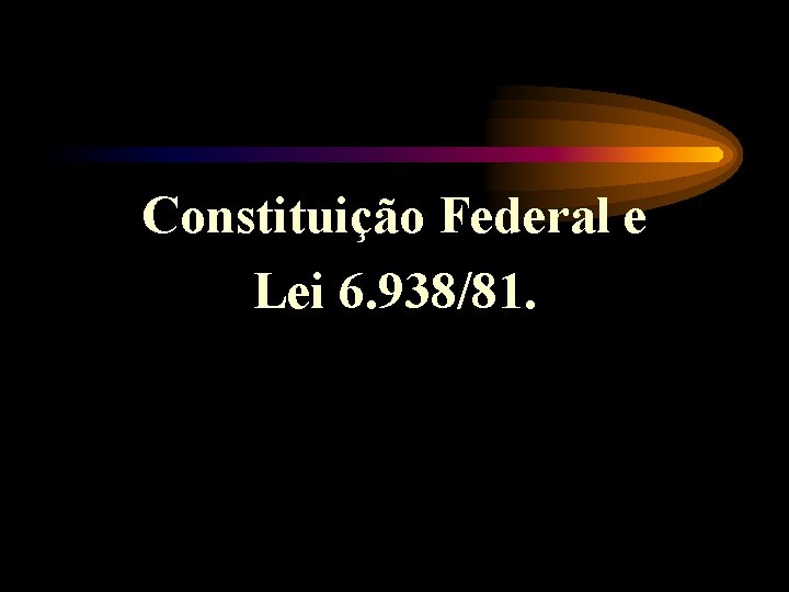 Constituição Federal e Lei 6. 938/81. 