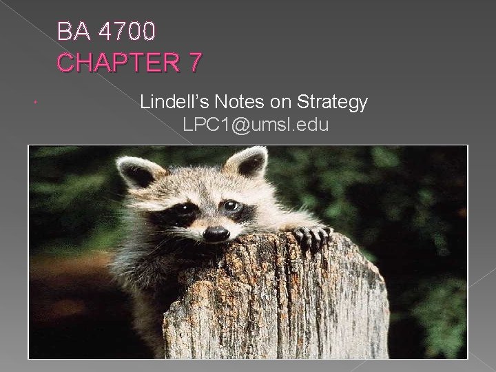 BA 4700 CHAPTER 7 Lindell’s Notes on Strategy LPC 1@umsl. edu 