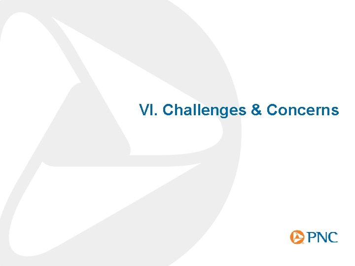 VI. Challenges & Concerns 