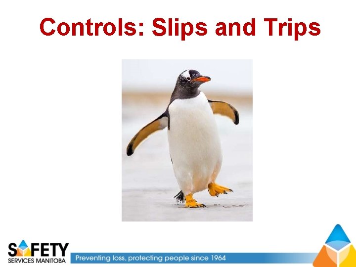 Controls: Slips and Trips 