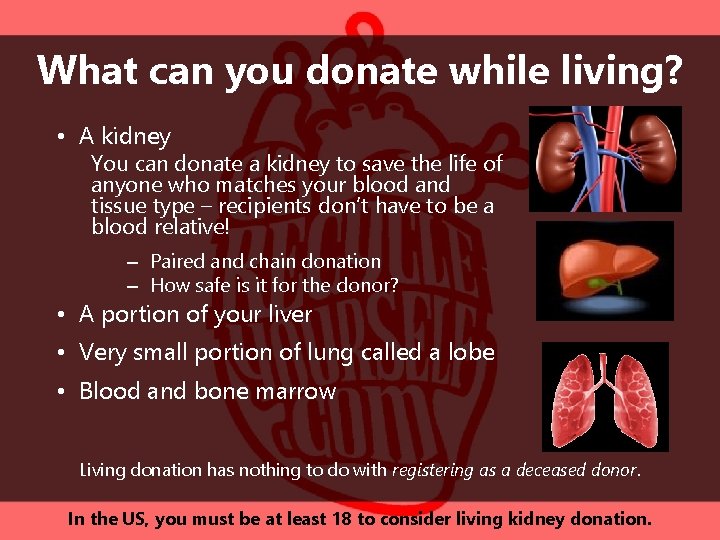 What can you donate while living? • A kidney You can donate a kidney