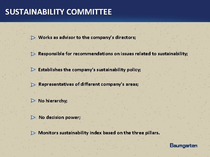 SUSTAINABILITY COMMITTEE Works as advisor to the company’s directors; Responsible for recommendations on issues