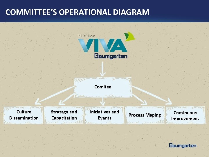 COMMITTEE’S OPERATIONAL DIAGRAM Comitee Culture Dissemination Strategy and Capacitation Iniciatives and Events Process Maping